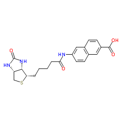 N-BIOTINYL-6-AMINO-2-NAPHTHOIC ACID structure