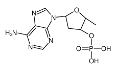 PHOSPHORICACID[5-(6-AMINOPURIN-9-YL)-2-METHYLTETRAHYDROFURAN-3-YL]ESTER picture