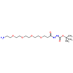 Amino-PEG4-hydrazide-Boc结构式