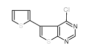4-氯-5-(2-噻吩)噻吩并[2,3-d]嘧啶结构式