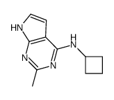 N-cyclobutyl-2-methyl-7H-pyrrolo[2,3-d]pyrimidin-4-amine结构式