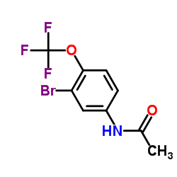 4-Acetamido-2-bromo-alpha,alpha,alpha-trifluoroanisole, N-[3-Bromo-4-(trifluoromethoxy)phenyl]acetamide结构式