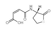 (Z)-3-[[(3S)-2-oxothiolan-3-yl]carbamoyl]prop-2-enoic acid结构式