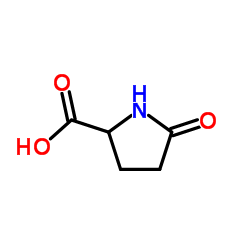 吡咯烷酮羧酸锌结构式