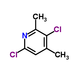 3,6-二氯-2,4-二甲基吡啶结构式