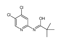 N-(4,5-二氯吡啶-2-基)-2,2-二甲基丙酰胺结构式