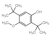 2,5-二叔丁基-4-甲氧基苯酚图片