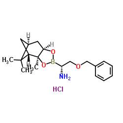 (R)-BoroSer(OBn)-(+)-Pinanediol-HCl structure