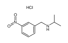 Isopropyl-(3-nitro-benzyl)-amine; hydrochloride Structure