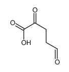 2,5-dioxopentanoic acid Structure