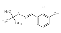Benzaldehyde, 2,3-dihydroxy-, (1,1-dimethylethyl)hydrazone (9CI)结构式