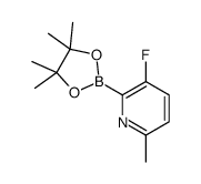 3-Fluoro-6-methylpyridine-2-boronic acid pinacol ester structure