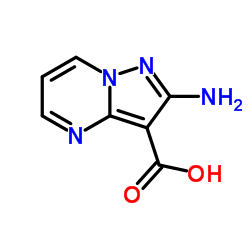 2-氨基吡唑并[1,5-A]嘧啶-3-甲酸结构式