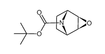 N-tert-butyloxycarbonyl-3-oxa-8-azatricyclo[3.2.1.02,4]octane结构式