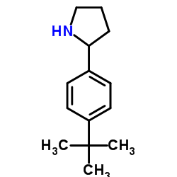 2-(4-tert-butylphenyl)pyrrolidine Structure
