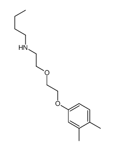 N-[2-[2-(3,4-dimethylphenoxy)ethoxy]ethyl]butan-1-amine Structure