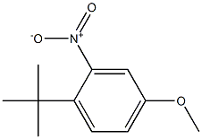 1-tert-Butyl-4-methoxy-2-nitro-benzene结构式