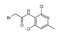 N-[2,4-dichloro-6-methylpyridin-3-yl]-2-bromoacetamide Structure