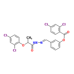 3-[(E)-{[2-(2,4-Dichlorophenoxy)propanoyl]hydrazono}methyl]phenyl 2,4-dichlorobenzoate结构式