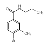 N-叔丁基-4-溴-3-甲基苯甲酰胺结构式