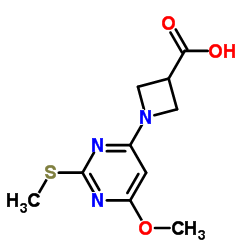 1-(6-methoxy-2-(methylthio)pyrimidin-4-yl)azetidine-3-carboxylic acid structure