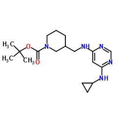 3-(((6-(环丙基氨基)嘧啶-4-基)氨基)甲基)哌啶-1-甲酸叔丁酯结构式