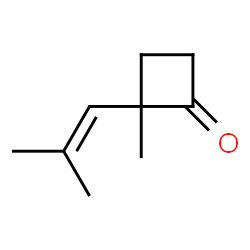 2-METHYL-2-(2-METHYLPROP-1-ENYL)CYCLOBUTANONE结构式