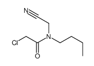 N-butyl-2-chloro-N-(cyanomethyl)acetamide Structure