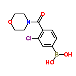 3-氯-4-(吗啉-4-羰基)苯基硼酸结构式