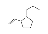 2-ethenyl-1-propylpyrrolidine Structure