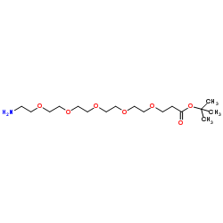 氨基-五聚乙二醇-丙酸叔丁酯结构式