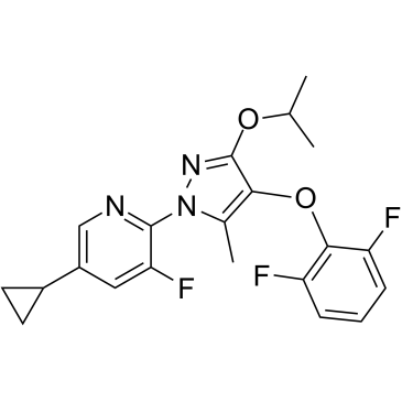 DHODH-IN-1结构式