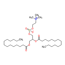 二肉豆蔻酰磷脂酰胆碱(DMPC)图片
