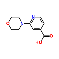 2-吗啉异吡啶甲酸结构式