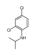 2,4-二氯-N-异丙基苯胺结构式