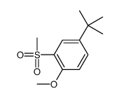 4-tert-butyl-1-methoxy-2-methylsulfonylbenzene结构式