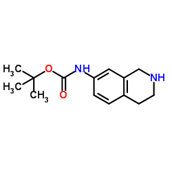 (1,2,3,4-四氢异喹啉-7-基)氨基甲酸叔丁酯结构式