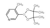 4-甲基吡啶-3-硼酸频哪醇酯结构式