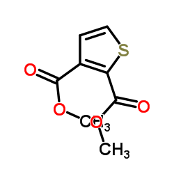 噻吩-2,3-二甲酸甲酯结构式