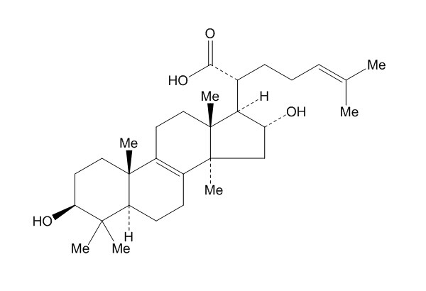 16 alpha-Hydroxytrametenolic acid structure