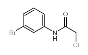 N-(3-溴苯基)-2-氯乙酰胺结构式