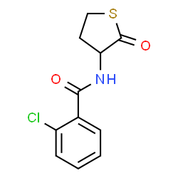 2-CHLORO-N-(2-OXOTETRAHYDRO-3-THIOPHENYL)BENZENECARBOXAMIDE Structure
