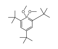 2,4,6-tritert-butyl-1,1-dimethoxy-1λ5-phosphacyclohexa-1,3,5-triene结构式