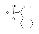 cyclohexyl(nitroso)sulfamic acid Structure