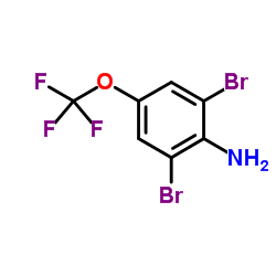 2,6-二溴-4-(三氟甲氧基)苯胺图片