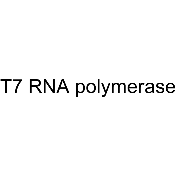 T7RNA聚合酶图片