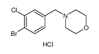 4-[(4-Bromo-3-chlorophenyl)methyl]-morpholine hydrochloride structure