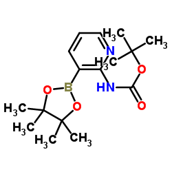 2-(Boc-氨基)吡啶-3-硼酸频哪醇酯结构式