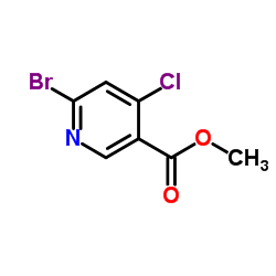 6-溴-4-氯烟酸甲酯结构式