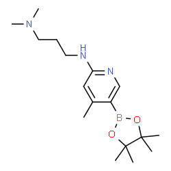 N1,N1-dimethyl-N3-(4-Methyl-5-(4,4,5,5-tetramethyl-1,3,2-dioxaborolan-2-yl)pyridin-2-yl)propane-1,3-diamine Structure